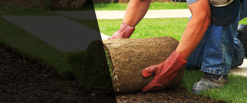 Jamesville Landscapers